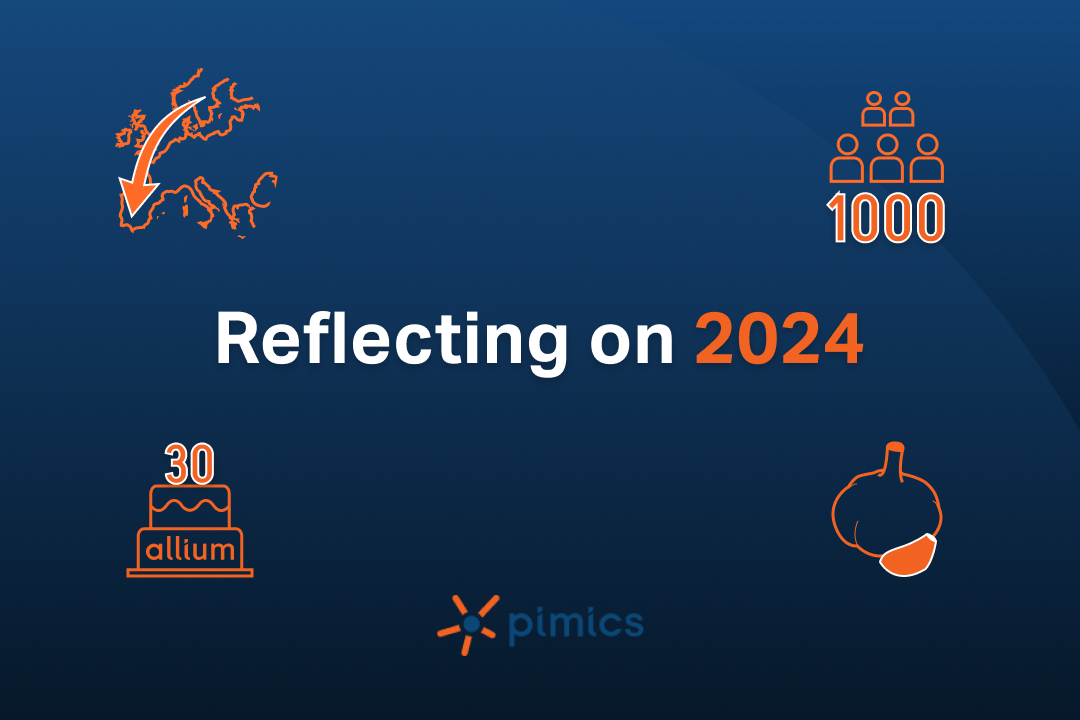 Das Jahr 2024 mit Pimics: Expansion von Schweden bis nach Spanien und Einführung neuer KI-Funktionen