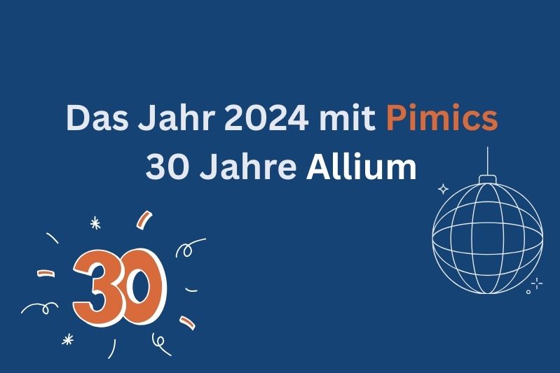 Das Jahr 2024 mit Pimics: Expansion von Schweden bis nach Spanien und Einführung neuer KI-Funktionen