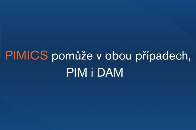 Jak na efektivnější Digital Asset Management? S Pimics vyřešíte DAM přímo na vašem SharePointu
